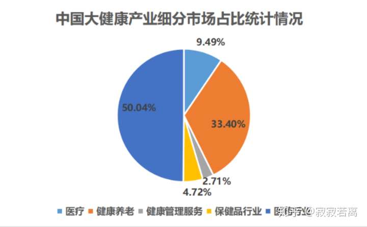 大健康战略研究